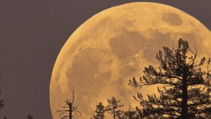 Using a Supermoon to Achieve Your Goals